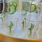 Moon Chafet Green set 6